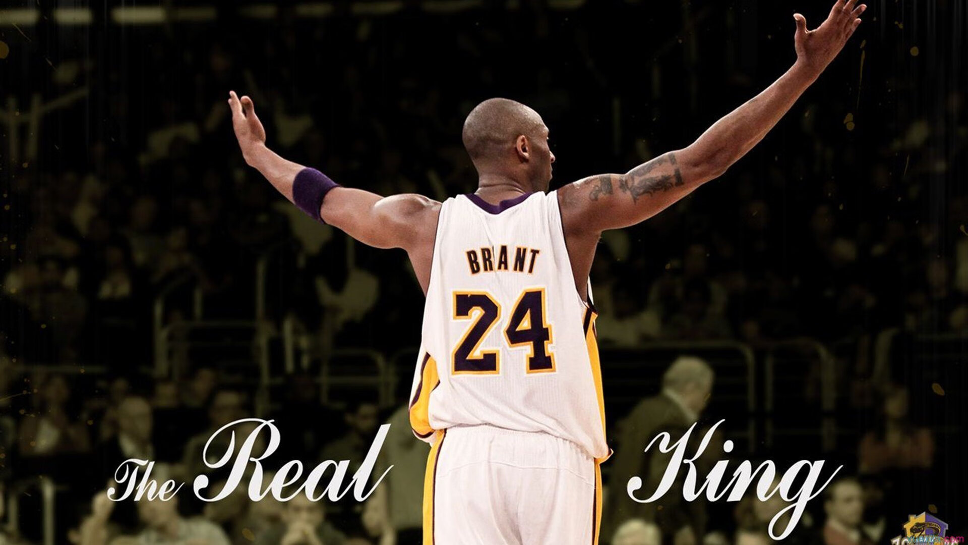 马克西个人能力完全展现，黄蜂强势晋级国王